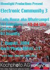 Electronic Comunity 3 - Flyer