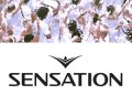 Sensation - Flyer