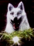 N#:104001 - White Wolf -Logo