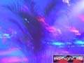 N#:253088 - 