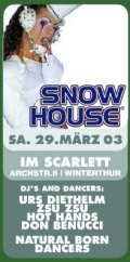 N#:209001 - Snow House - Flyer