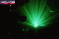 N#:135022 - Light Flower